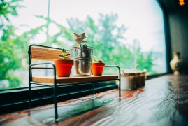渗透剂的奇幻之旅：解锁无限可能的用法