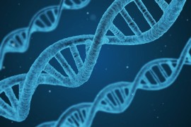磁粉探伤机对人体的危害有哪些表现形式