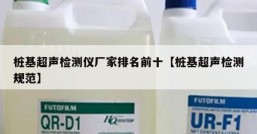 桩基超声检测仪厂家排名前十【桩基超声检测规范】