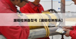 漏磁检测器型号【漏磁检测探头】