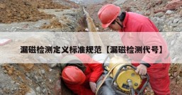 漏磁检测定义标准规范【漏磁检测代号】
