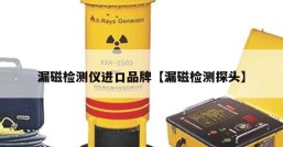 漏磁检测仪进口品牌【漏磁检测探头】