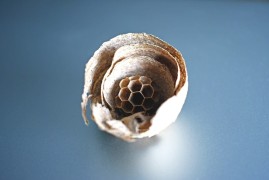 磁粉探伤仪价格揭秘：从数百到数万，选择之道何在？