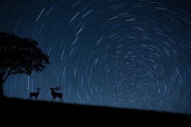 X射线检测：透视万物背后的科学奥秘