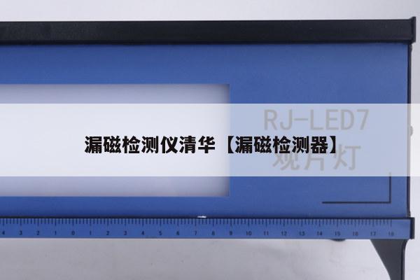 漏磁检测仪清华【漏磁检测器】