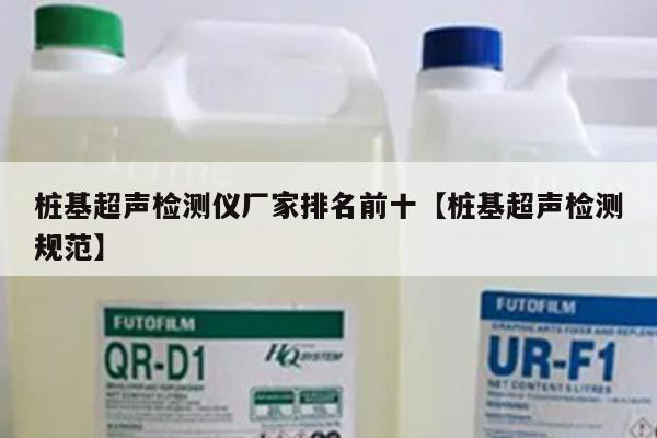 桩基超声检测仪厂家排名前十【桩基超声检测规范】