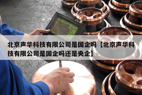北京声华科技有限公司是国企吗【北京声华科技有限公司是国企吗还是央企】