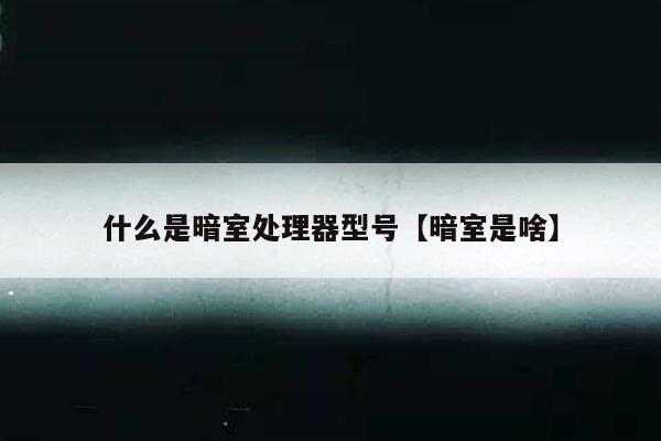 什么是暗室处理器型号【暗室是啥】